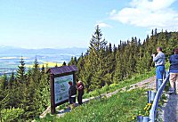 Vyhldka pod Holicou - 1340 m