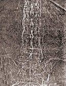 Bederní páteř Ramsesa II. připomíná bambus